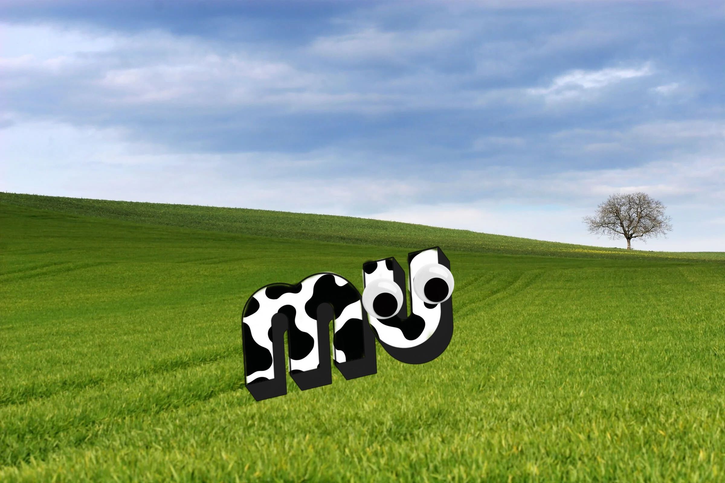 mu.social image